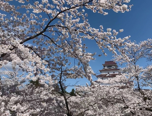 会津若松城 鶴ヶ城